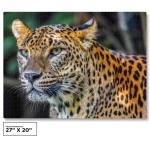 1000-Piece-Leopard-Jigsaw-Puzzle-Puzzle-Saver-Kit-Included-PZ1023-4