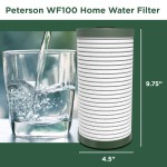 Peterson-House-Water-Filter-Replacement-3-Pack-PTSWF100-2PK-3